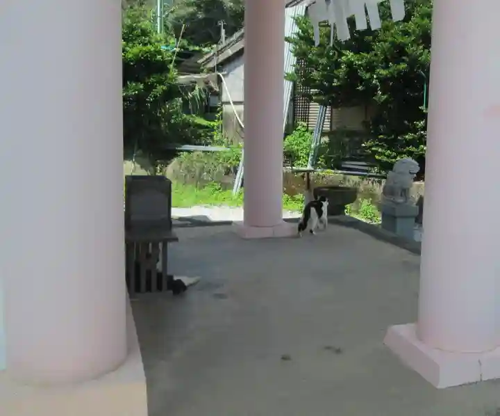 屋久島大社の動物