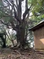 愛宕地蔵尊の自然