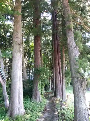 白山神社の{uncategorized: "未分類", other: "その他", undefined: "問題あり", building: "その他建物", grave: "お墓", sacred_gate: "鳥居", guardian: "狛犬", statue: "像", buddha: "仏像", history: "歴史", nature: "自然", garden: "庭園", animal: "動物", pagoda: "塔", temizu: "手水舎", mountain_gate: "山門・神門", sanctuary: "本殿・本堂", subordinate: "末社・摂社", art: "芸術", scenery: "景色", jizo: "地蔵", ema: "絵馬", goshuin: "御朱印", omikuji: "おみくじ", items: "授与品その他", amulet: "お守り", goshuincho: "御朱印帳", eats: "食事", festival: "お祭り", votive_dance: "神楽", shichigosan: "七五三参", wedding: "結婚式", experience: "体験その他", initially: "初詣", around: "周辺", anti_infection: "感染症対策"}
