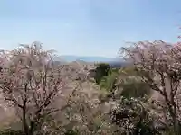 久延彦神社(奈良県)
