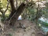 金比羅神社の自然