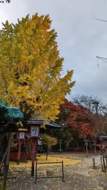 松ヶ崎大黒天 妙圓寺(妙円寺)(京都府)
