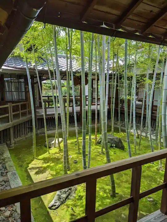 妙顯寺(妙顕寺)(京都府)
