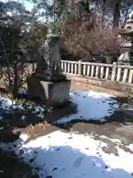 中津神社の狛犬