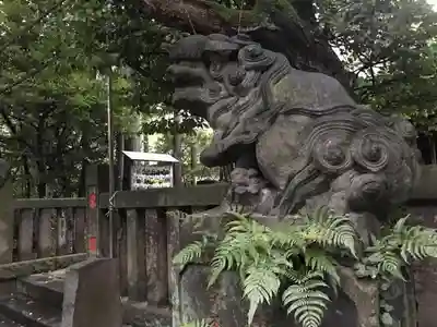 西久保八幡神社の狛犬