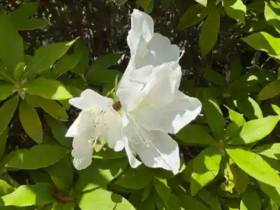 廣田神社(兵庫県)