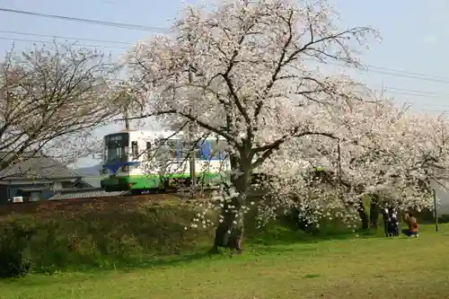 琵琶神社の自然