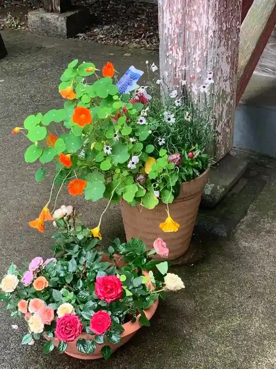 千代ケ岡八幡宮の自然