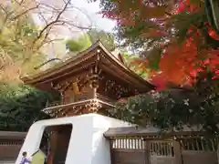 大正寺の山門