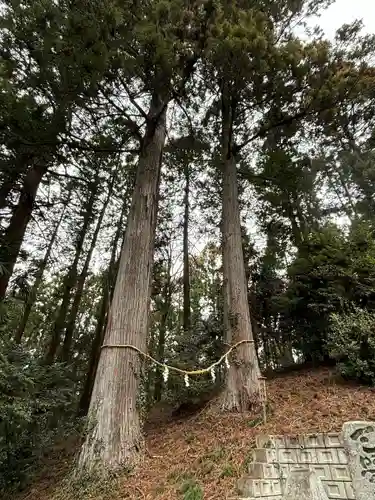 熱日高彦神社(宮城県)