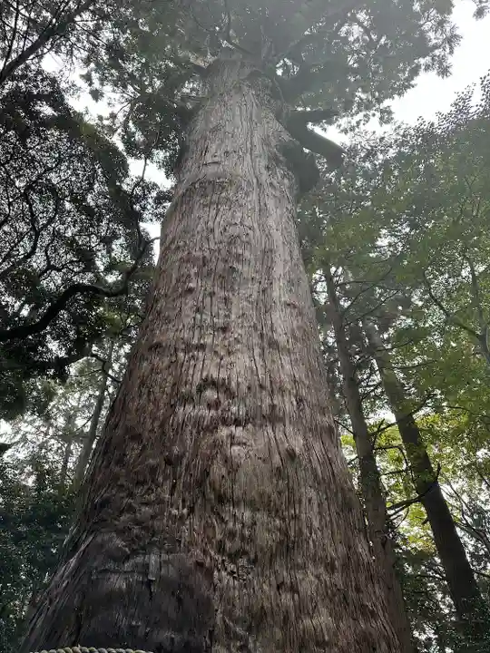 麻賀多神社(千葉県)