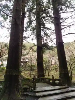 洞慶院のその他建物