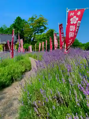 櫻岡大神宮(宮城県)