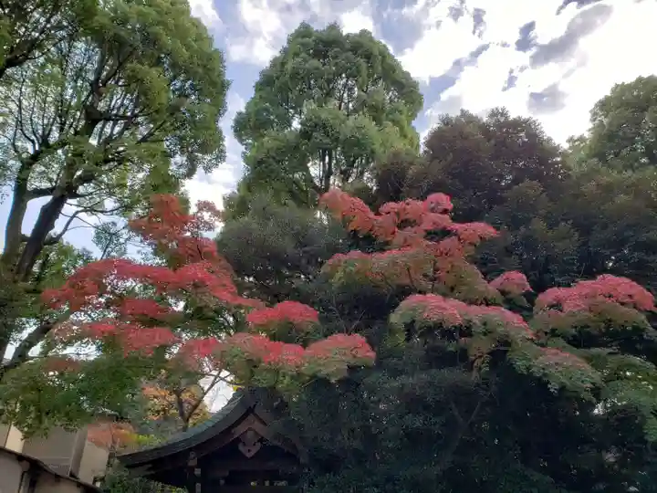 渋谷氷川神社(東京都)