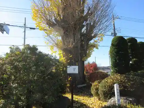 光照寺のその他建物