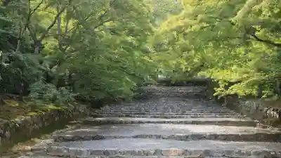 二尊院(京都府)