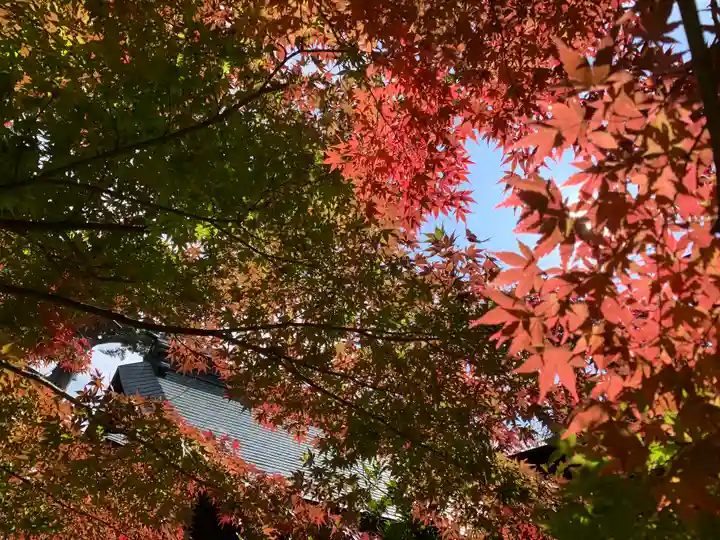 滑川神社 - 仕事と子どもの守り神の自然