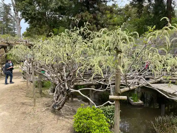 歌泉堂(春日大社神苑萬葉植物園内鎮座)(奈良県)