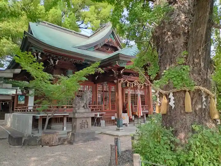 白山神社(大阪府)