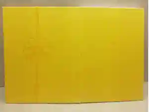 川越氷川神社の御朱印帳