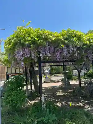 諏訪神社(宮城県)