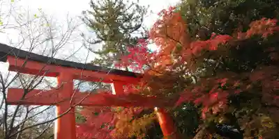 賀茂御祖神社(下鴨神社)の鳥居