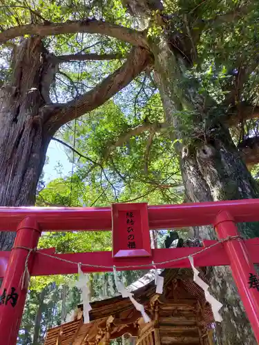 涼ケ岡八幡神社の鳥居