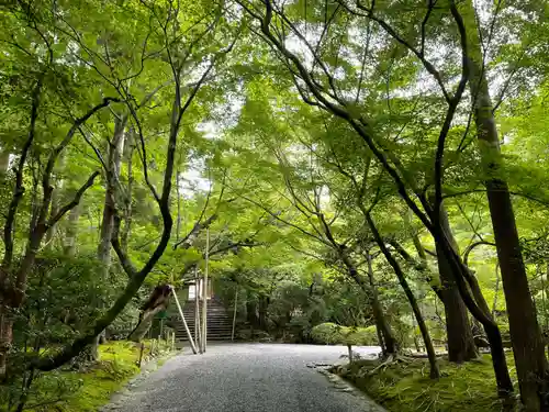 龍安寺(京都府)