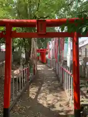 神明社（藤成神明社）の鳥居