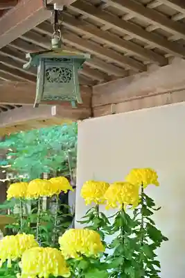 彌彦神社(新潟県)