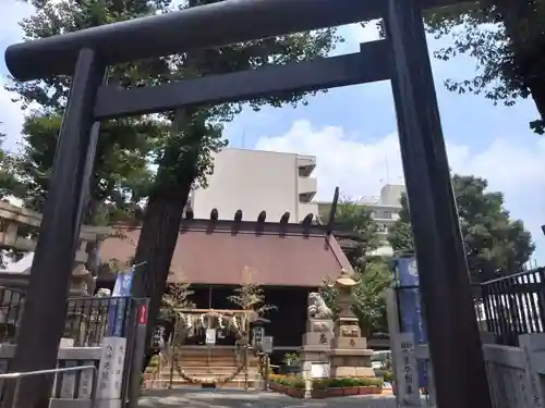 高円寺氷川神社の鳥居