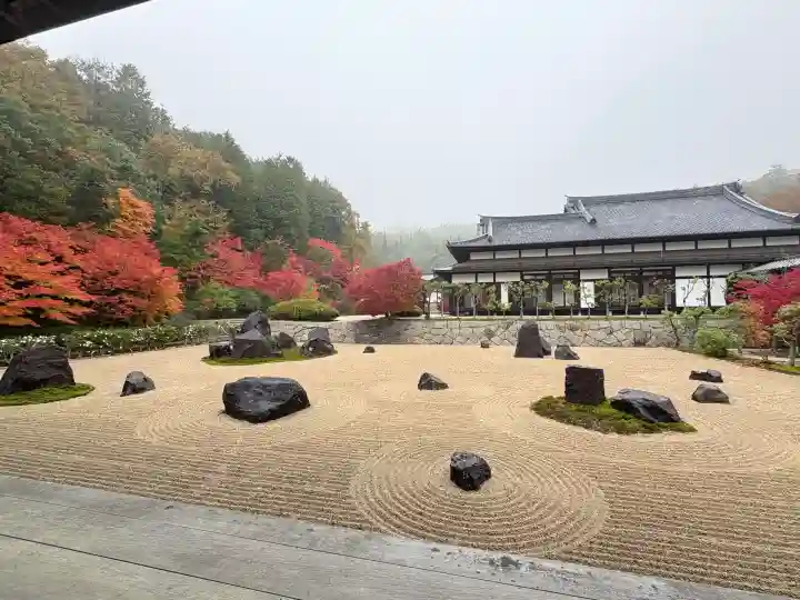 光信寺の庭園