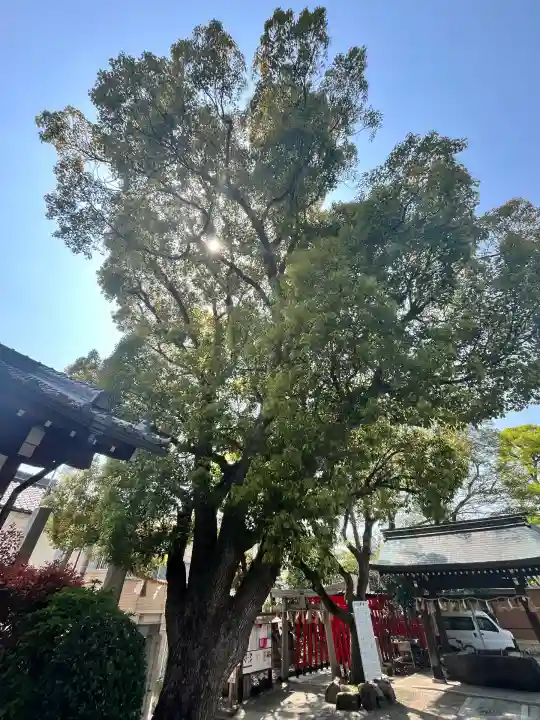 生根神社(大阪府)