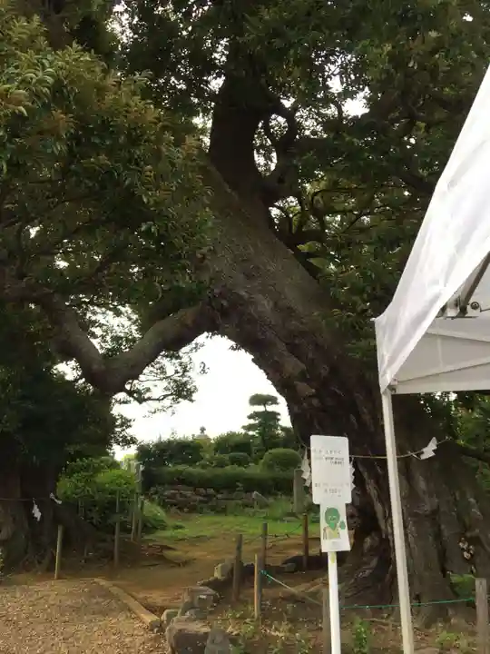 九重神社の自然
