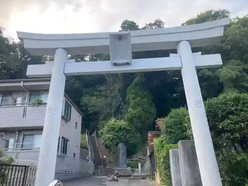熊野神社（杉田・中原）(神奈川県)