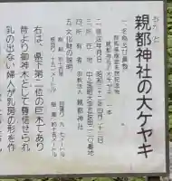 親都神社(群馬県)