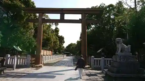 和泉國一之宮　大鳥大社の鳥居