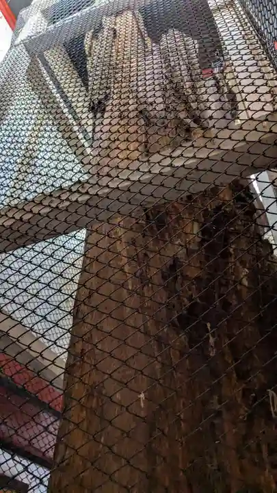 旭山立木大師堂の本殿・本堂