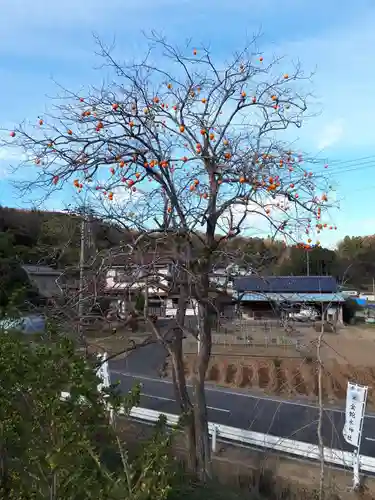 金蛇水神社の景色