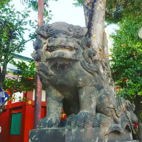 神田神社（神田明神）の狛犬