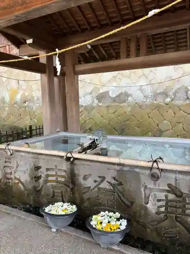 櫻山八幡宮の{uncategorized: "未分類", other: "その他", undefined: "問題あり", building: "その他建物", grave: "お墓", sacred_gate: "鳥居", guardian: "狛犬", statue: "像", buddha: "仏像", history: "歴史", nature: "自然", garden: "庭園", animal: "動物", pagoda: "塔", temizu: "手水舎", mountain_gate: "山門・神門", sanctuary: "本殿・本堂", subordinate: "末社・摂社", art: "芸術", scenery: "景色", jizo: "地蔵", ema: "絵馬", goshuin: "御朱印", omikuji: "おみくじ", items: "授与品その他", amulet: "お守り", goshuincho: "御朱印帳", eats: "食事", festival: "お祭り", votive_dance: "神楽", shichigosan: "七五三参", wedding: "結婚式", experience: "体験その他", initially: "初詣", around: "周辺", anti_infection: "感染症対策"}