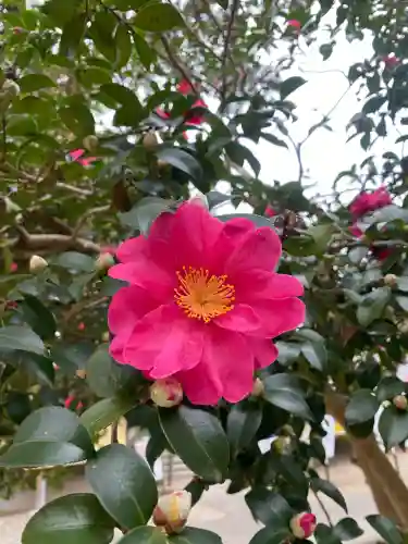 鎌数伊勢大神宮(千葉県)