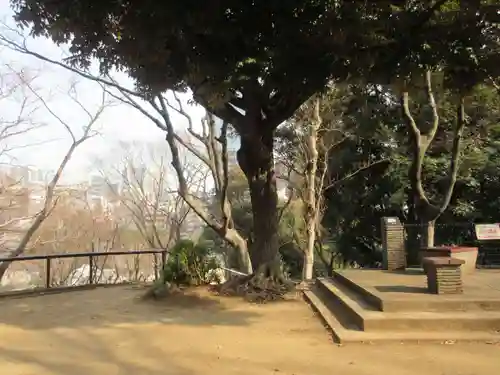 増上寺(東京都)