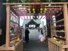 札幌諏訪神社の七五三参