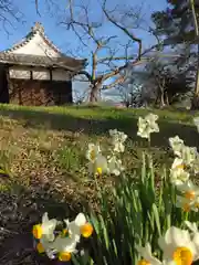 住吉神社の自然