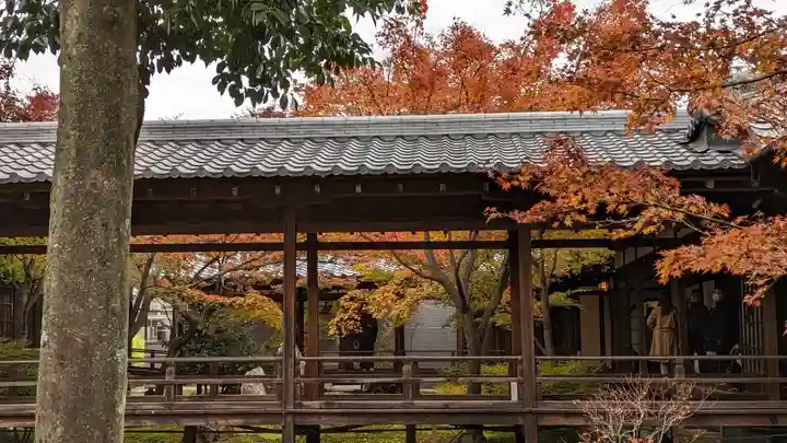 建仁寺(建仁禅寺)(京都府)