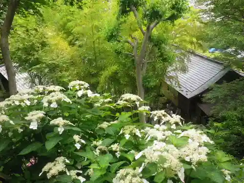 長谷寺の景色