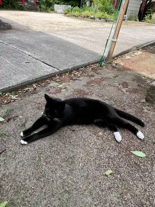 岡部春日神社~👹鬼門よけの🌺花咲く🌺やしろ~(福島県)