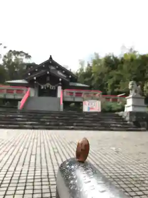 神祇大社のその他建物