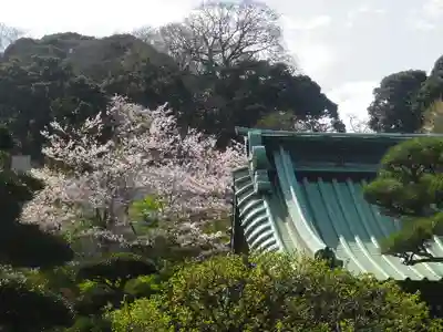 長谷寺のその他建物